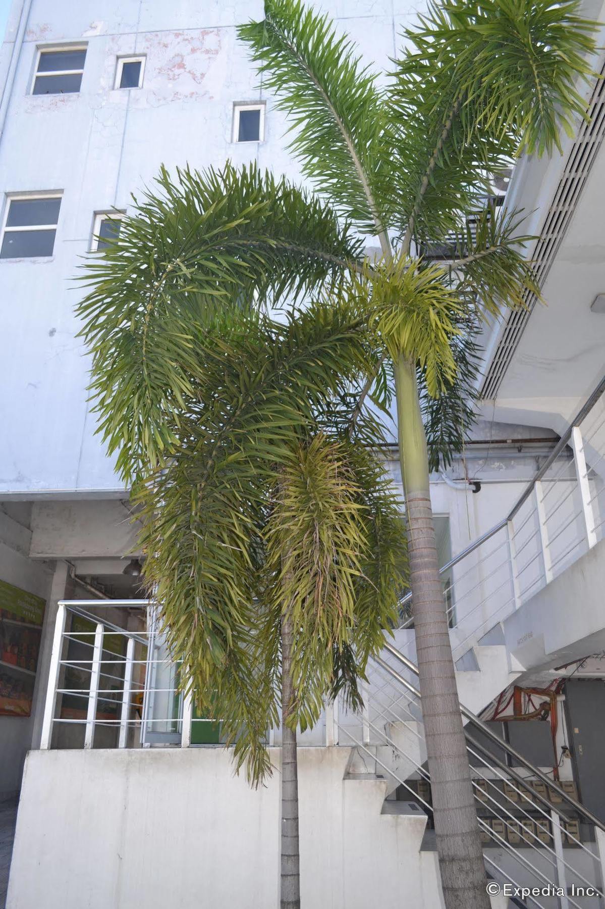 Islands Stay Hotels Mactan Lapu-Lapu City Luaran gambar